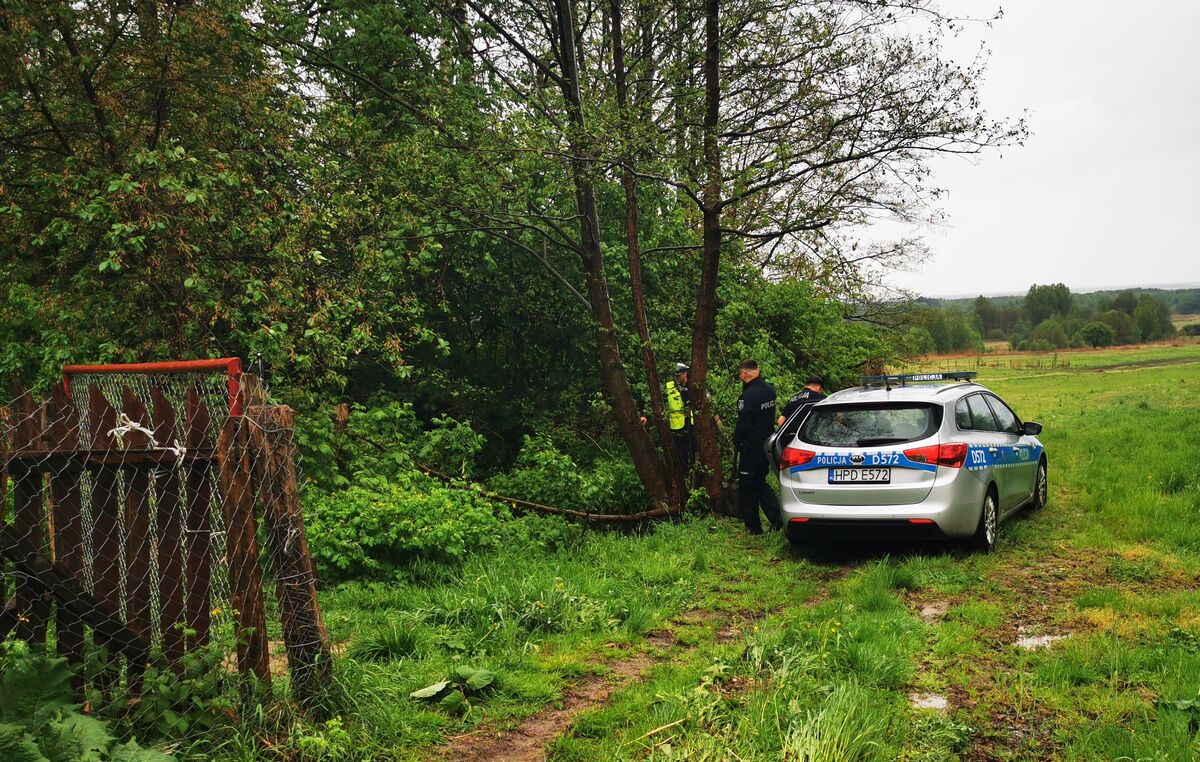 policjanci przy radiowozie