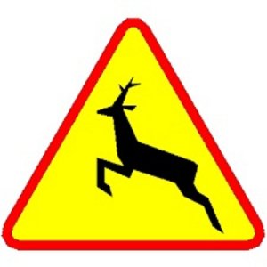 znak drogowy ostrzegający przed dzikimi zwierzętami