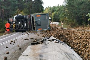 wywrócony na drodze pojazd ciężarowy, rozsypane buraki cukrowe