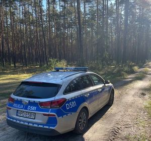 zdjęcie oznakowanego radiowozu w lesie