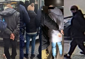 kolaż zdjęć, policjanci prowadzą osoby zatrzymane