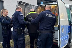 policjanci umieszczają zatrzymanego w radiowozie