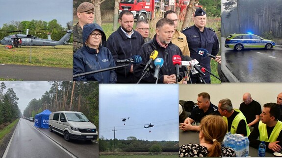 kolaż zdjęć