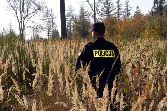 zdjęcie poglądowe policjant idący polem